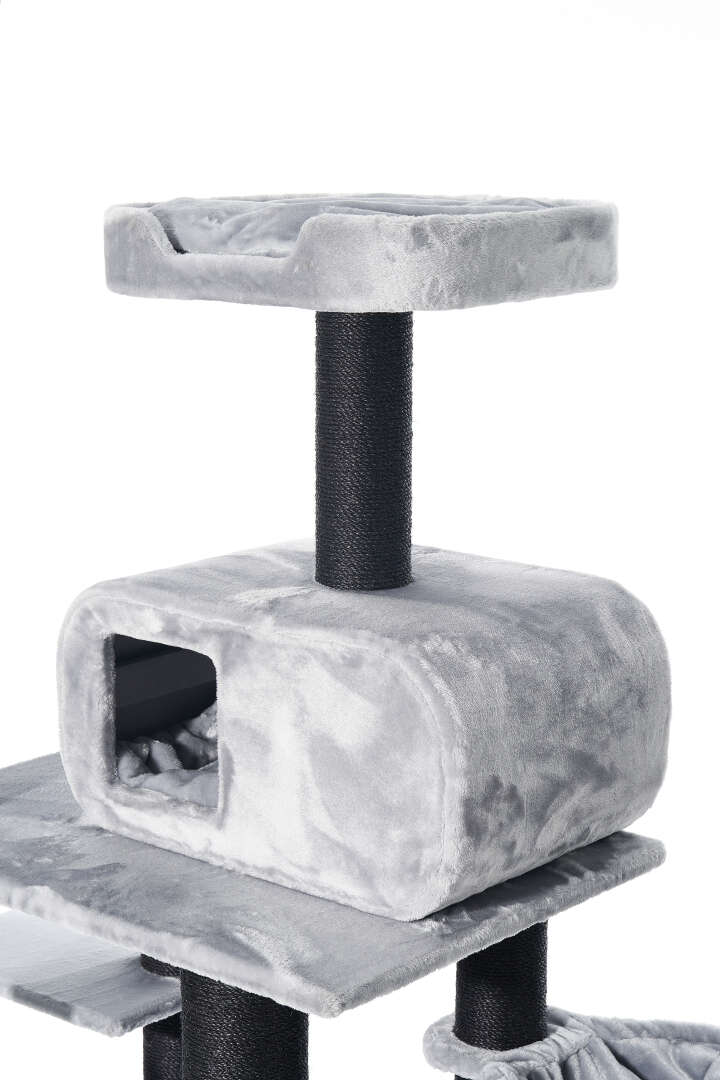 Nobby Kratzbaum Todor